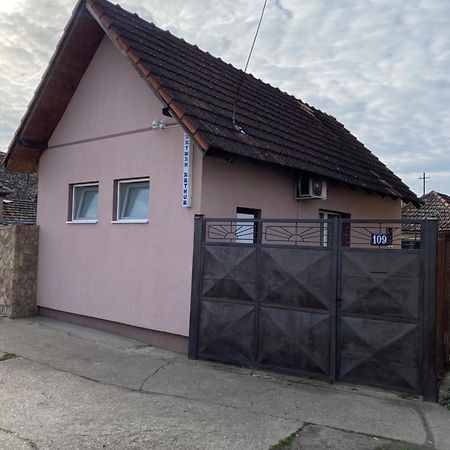 Apartman Arthur Kikinda Bagian luar foto